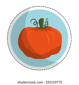 pumpkin vegetable emblem  icon image vector illustration design 