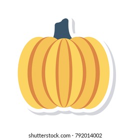 pumpkin vegetable food 