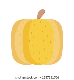 pumpkin vegetable fresh food icon vector illustration