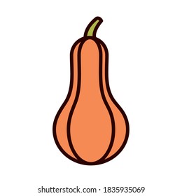 pumpkin vegetable fresh ripe vector illustration line fill icon