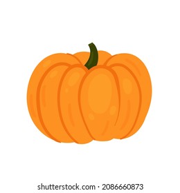 Pumpkin vegetable fresh veg product, organic food production vector illustration. Cartoon healthy raw whole orange pumpkin from farm agriculture market isolated on white