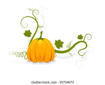 pumpkin vegetable fruit isolated on white background