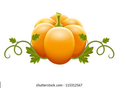 pumpkin vegetable with green leaves vector illustration isolated on white background EPS10.