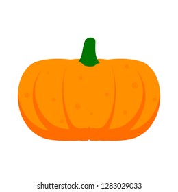Pumpkin vegetable Halloween celebration vector icon. Agriculture yellow tasty delicious object gourd. Flat harvest food