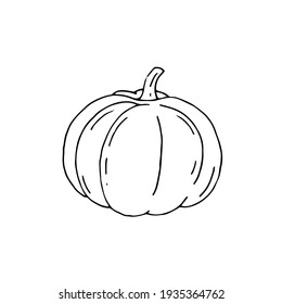 Pumpkin. Vegetable. Harvest. Holiday on October 31. Vector hand drawn doodle illustration. Black and white outline. Silhouette. Coloring.