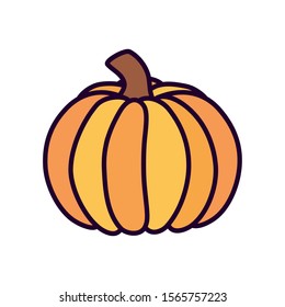pumpkin vegetable harvest on white background vector illustration