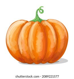 Pumpkin vegetable icon in cartoon style. Vegetarian, organic food. Vector Illustration. 
