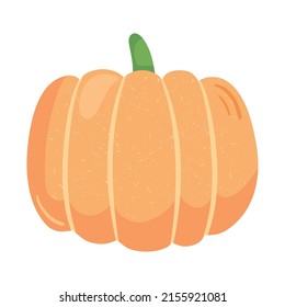 pumpkin vegetable icon on white background