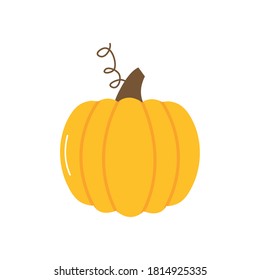 pumpkin vegetable icon over white background, flat style, vector illustration