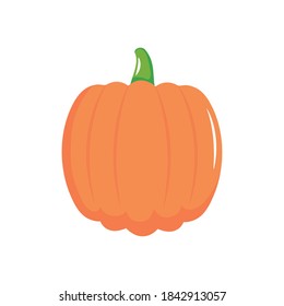 icono de calabaza vegetal sobre fondo blanco, estilo plano, ilustración vectorial
