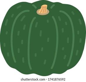 pumpkin vegetable illustration organic bio