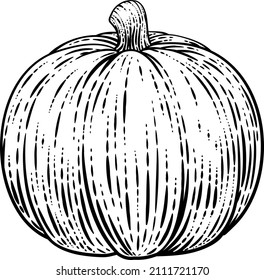 Pumpkin vegetable illustration in a vintage retro woodcut etching style.