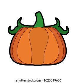 Pumpkin vegetable isolated