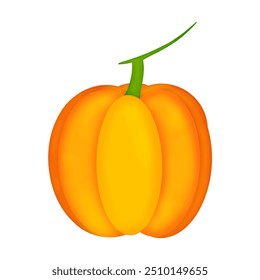 Vegetal de calabaza aislado sobre fondo transparente. Ilustración vectorial