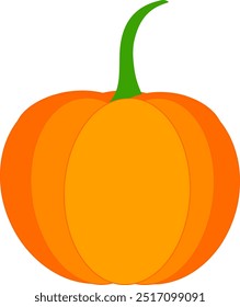 Pumpkin vegetable isolated on transparent background. Vector illustration