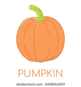 Pumpkin vegetable lcolored icons illustration