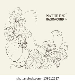 Pumpkin vegetable with leaves on sepia background. Vector illustration.