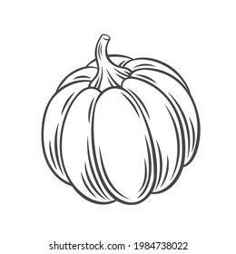 Pumpkin vegetable outline vector icon, drawing monochrome illustration. Healthy nutrition, organic food, vegetarian product.