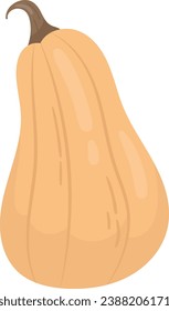 Pumpkin Vegetable Ripe Vector Illustration