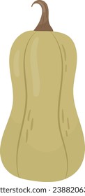Ilustración del vector de maduración vegetal de calabaza