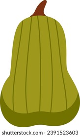 Ilustración del vector de maduración vegetal de calabaza