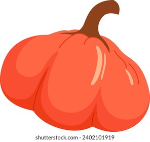 Pumpkin Vegetable Ripe Vector Illustration