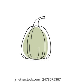 Pumpkin Vegetable Ripe Vector Illustration