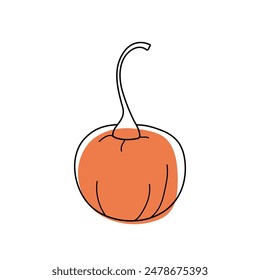 Ilustración vectorial madura vegetal de calabaza