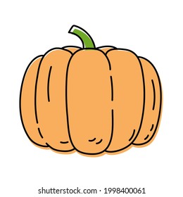 Pumpkin. Vegetable sketch. Color simple icon. Hand drawn vector doodle illustration