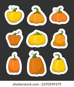 Pumpkin vegetable. Sticker Bookmark. Thanksgiving and Halloween elements. Farm harvest. Vector drawing. Collection of design elements.