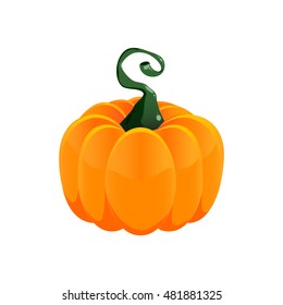 Pumpkin vegetable vector. Colorful design element isolated.