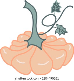 pumpkin vegetable vector hand drawn illustration seasonal autumn harvest