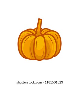 pumpkin vegetable vector illustration