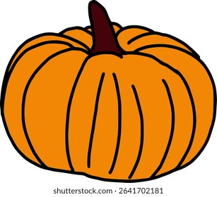 Pumpkin - Vegetable vector image