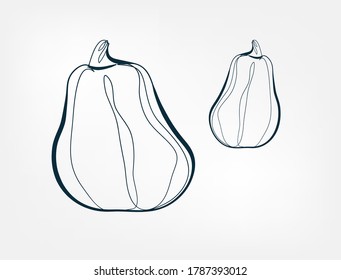  pumpkin vegetable vector one line art isolated illustration
