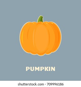 Pumpkin Vegetables Cartoon Flat Design Style. Vector Illustration With Background And Text Pumpkin