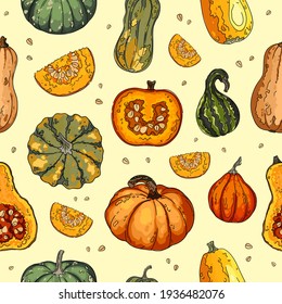 Pumpkin vegetables, gourds and squashes pattern. Autumn texture for thanksgiving, harvest and halloween. Vector Illustration