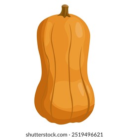 Kürbisgemüse, Vektorgrafik