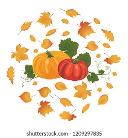 Pumpkin. Vegetables. Vector illustration. Isolated on a white background.