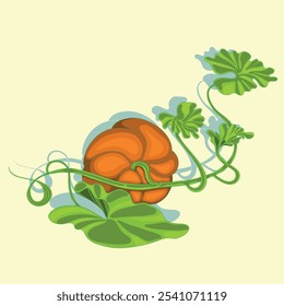 Pumpkin with vine and leaves. Autumn flower arrangement with colorful pumpkin and leaves. A hand-drawn flat drawing highlighted on a beige background. Seasonal harvest of pumpkin crops. Vector illustr