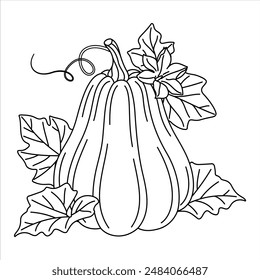 Calabaza con viñas y hojas para colorear. Arreglo floral de otoño con calabaza, flor y hojas. Dibujado a mano estilo doodle Aislado. arte de línea Cosecha estacional planta de Cucurbita. Ilustración vectorial