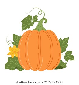 Pumpkin with vines and leaves. Fall floral arrangement with colorful pumpkin, flower, and leaves. Hand drawn flat style Isolated on transparent. Seasonal harvest Cucurbita plant. Vector illustration