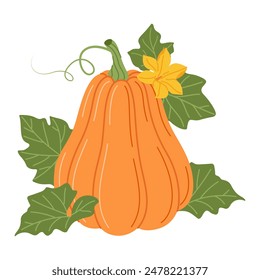 Calabaza con viñas y hojas. Arreglo floral otoñal con calabaza colorida, flor y hojas. Estilo plano dibujado a mano Aislado en transparente. Cosecha estacional de la planta de Cucurbita. Ilustración vectorial