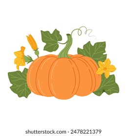 Calabaza con viñas y hojas. Arreglo floral otoñal con calabaza colorida, flor y hojas. Estilo plano dibujado a mano Aislado en transparente. Cosecha estacional de la planta de Cucurbita. Ilustración vectorial