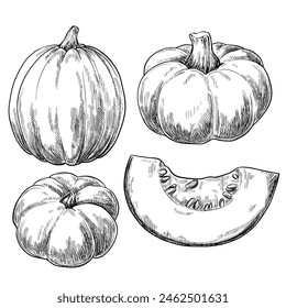 Calabaza vintage Vector negro sketch