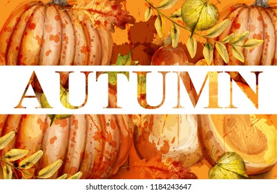 Pumpkin watercolor autumn banner Vector. Fall season painted style illustrations