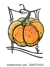 Pumpkin Watercolor Hand Drawn Illustration. Doodle Outline Vector pumpkin for Thanksgiving day and Halloween greeting card. For Poster, design invitation, postcard, banner