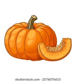 Pumpkin, whole and cut, vector illustration isolated on white background, eps10