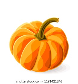 Pumpkin whole on white. Vector illustration. No gradients