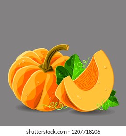 Pumpkin whole and a piece with leaves and drops of water on grey. Vector illustration. No gradients
